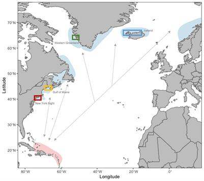 Drone-based photogrammetry reveals differences in humpback whale body condition and mass across North Atlantic foraging grounds